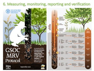 Enhancing investment in soil health and carbon storage: Frontiers for linking finance and carbon accounting