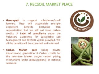 Enhancing investment in soil health and carbon storage: Frontiers for linking finance and carbon accounting