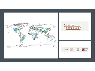 Enhancing investment in soil health and carbon storage: Frontiers for linking finance and carbon accounting