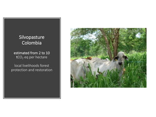 Enhancing investment in soil health and carbon storage: Frontiers for linking finance and carbon accounting