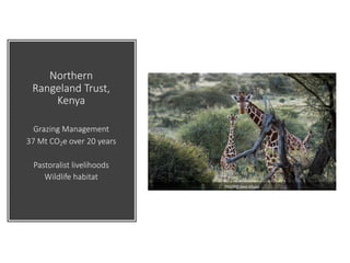 Enhancing investment in soil health and carbon storage: Frontiers for linking finance and carbon accounting