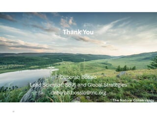 Enhancing investment in soil health and carbon storage: Frontiers for linking finance and carbon accounting