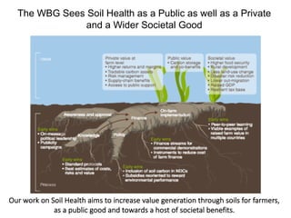 Enhancing investment in soil health and carbon storage: Frontiers for linking finance and carbon accounting