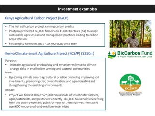 Enhancing investment in soil health and carbon storage: Frontiers for linking finance and carbon accounting