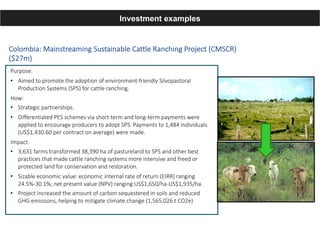 Enhancing investment in soil health and carbon storage: Frontiers for linking finance and carbon accounting