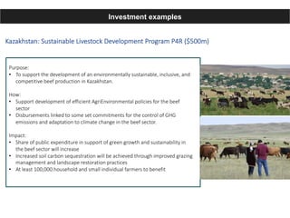 Enhancing investment in soil health and carbon storage: Frontiers for linking finance and carbon accounting