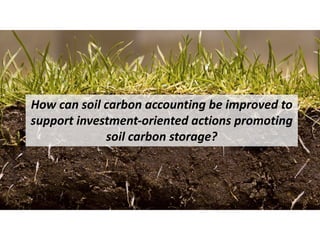 Enhancing investment in soil health and carbon storage: Frontiers for linking finance and carbon accounting