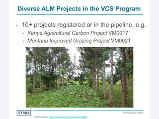 Enhancing investment in soil health and carbon storage: Frontiers for linking finance and carbon accounting