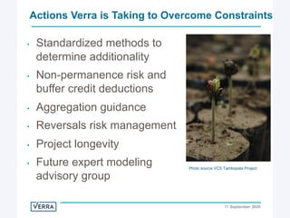 Enhancing investment in soil health and carbon storage: Frontiers for linking finance and carbon accounting