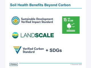 Enhancing investment in soil health and carbon storage: Frontiers for linking finance and carbon accounting