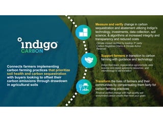 Enhancing investment in soil health and carbon storage: Frontiers for linking finance and carbon accounting