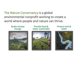 Enhancing investment in soil health and carbon storage: Frontiers for linking finance and carbon accounting