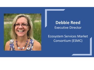 Enhancing investment in soil health and carbon storage: Frontiers for linking finance and carbon accounting