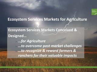 Enhancing investment in soil health and carbon storage: Frontiers for linking finance and carbon accounting