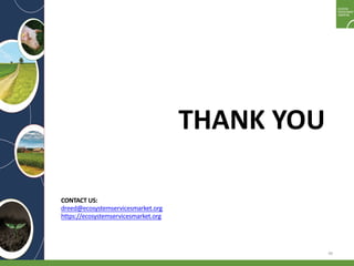 Enhancing investment in soil health and carbon storage: Frontiers for linking finance and carbon accounting