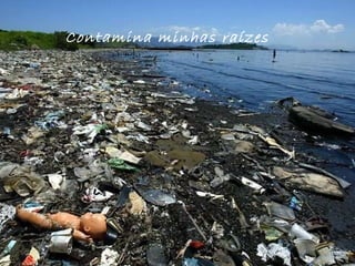 Contamina minhas raízes 