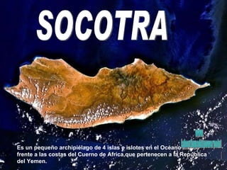 Socotra SOCOTRA Es un pequeño archipiélago de 4 islas e islotes en el Océano Indico frente a las costas del Cuerno de Africa,que pertenecen a la República del Yemen. www. laboutiquedelpowerpoint. com 