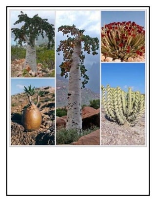 Socotra Island Biodiversity.docx
