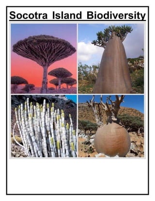 Socotra Island Biodiversity
 