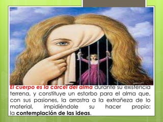 El cuerpo es la cárcel del alma durante su existencia
terrena, y constituye un estorbo para el alma que,
con sus pasiones, la arrastra a la extrañeza de lo
material,    impidiéndole     su    hacer     propio:
la contemplación de las ideas.
 