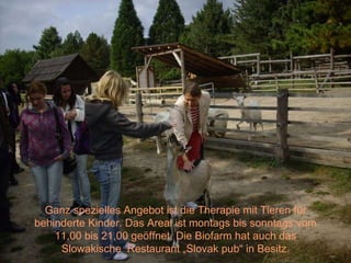 Ganz spezielles Angebot ist die Therapie mit Tieren für behinderte Kinder. Das Areal ist montags bis sonntags vom 11,00 bis 21,00 ge ö ffnet. Die Biofarm hat auch das Slowakische  Restaurant „Slovak pub“ in Besitz. 