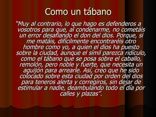 Como un tábano “ Muy al contrario, lo que hago es defenderos a vosotros para que, al condenarme, no cometáis un error desafiando el don del dios. Porque, si me matáis, difícilmente encontraréis otro hombre como yo, a quien el dios ha puesto sobre la ciudad, aunque el símil parezca ridículo, como el tábano que se posa sobre el caballo, remolón, pero noble y fuerte, que necesita un aguijón para arrearle. Así, creo que he sido colocado sobre esta ciudad por orden del dios para teneros alerta y corregiros, sin dejar de estimular a nadie, deambulando todo el día por calles y plazas”. 