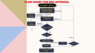 Ethical Review Essentials: Fast Tracking Your PhD Research Approval ...