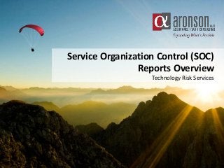 Service Organization Control (SOC)
Reports Overview
Technology Risk Services
 