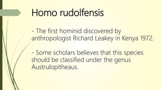 Homo rudolfensis
- The first hominid discovered by
anthropologist Richard Leakey in Kenya 1972.
- Some scholars believes that this species
should be classified under the genus
Austrulopitheaus.
 