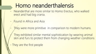 Homo neanderthalensis
- Neanderthal are more similar to Homo Erectus, who walked
erect and had big crania.
- Found in Africa and Asia
- They were more primitive in comparison to modern humans.
- They exhibited similar mental sophistication by wearing animal
skin and furs to protect them from changing weather conditions
- They are the first people
 