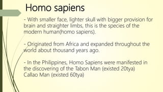 Homo sapiens
- With smaller face, lighter skull with bigger provision for
brain and straighter limbs, this is the species of the
modern human(homo sapiens).
- Originated from Africa and expanded throughout the
world about thousand years ago.
- In the Philippines, Homo Sapiens were manifested in
the discovering of the Tabon Man (existed 20tya)
Callao Man (existed 60tya)
 