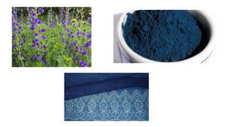 Soc studies #8 southern colonies