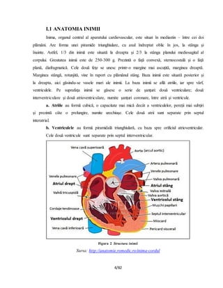 Socul hipovolemic | PDF