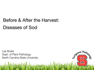 Before & After the Harvest:
Diseases of Sod



Lee Butler
Dept. of Plant Pathology
North Carolina State University
 
