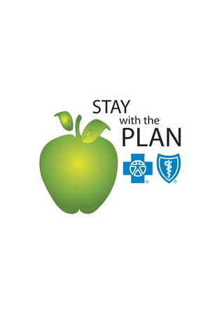 BCBSD Stay with the Plan Logo