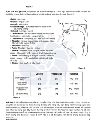 HEAR2TALK.COM 6
Figure 3
Vị trí của một phụ âm, là vị trí nơi âm thanh được tạo ra. Thuật ngữ này đôi khi khiến các cha mẹ
khó hiểu, nhưng định nghĩa dựa trên vị trí giải phẫu sẽ giúp làm rõ. (see figure 4)
• labial – lips – môi
• lingua – tongue – lưỡi
• dental – teeth – răng
• alveolar ridge - bump behind front upper teeth -
bờ xương ổ răng
1. Bilabial - both lips – hai môi
2. Labiodental - lips and teeth - (lower lip and upper
front teeth) – môi dưới – răng cửa trên
3. Linguadental - tongue tip and teeth – đầu lưỡi & răng
4. Alveolar - tongue tip and ridge and alveolar ridge –
đầu lưỡi & bờ xương ổ răng
5. Retroflex – quặt lưỡi
6. Palato-Alveolar – khẩu cái - ổ răng
7. Palatal - front of tongue (tongue blade) and hard
palate – khẩu cái – phần trước lưỡi và khẩu cái cứng
8. Velar - back of tongue (tongue dorsum) and hard
palate – ngạc – phần sau lưỡi (lưng lưỡi) và khẩu
cái cứng
9. Glottal – bắt nguồn từ dây thanh
Figure 4
VOICED VOICELESS EXAMPLE
bilabial plosive/
stop [b] [p] bay - pay
labiodental
fricative
[v] [f] vat - fat
linguadental
fricative
[ð] [θ] thy - thigh
alveolar stop [d] [t] doe - toe
Figure 5
Voicing là đặc điểm liên quan đến sự chuyển động của dây thanh âm và liệu chúng có thực sự
rung khi âm được tạo ra. Các cha mẹ thường cho rằng nếu bạn đang nói thì đồng nghĩa dây
thanh đang rung. Hãy đặt bàn tay của cha mẹ lên phía trước cổ họng khi nói “Aaaa” sẽ giúp họ
cảm nhận sự rung của dây thanh. Tương tự như vậy với âm “sss” và ngay lập tức họ sẽ hiểu
rằng chúng ta có thể nói mà không cất giọng ‘voicing”. Nói thầm cả một câu hoàn chỉnh cũng là
minh chứng cho điều này. Figure 5 minh hòa một số thông tin/ vấn đề mà chúng ta đã đề cập
trước đó.
 