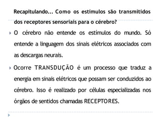 Recapitulando... Como os estímulos são transmitidos
dos receptores sensoriais para o cérebro?
🞂 O cérebro não entende os estímulos do mundo. Só
entende a linguagem dos sinais elétricos associados com
as descargas neurais.
🞂 Ocorre TRANSDUÇÃO é um processo que traduz a
energia em sinais elétricos que possam ser conduzidos ao
cérebro. Isso é realizado por células especializadas nos
órgãos de sentidos chamadas RECEPTORES.
 
