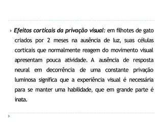 🞂 Efeitos corticais da privação visual: em filhotes de gato
criados por 2 meses na ausência de luz, suas células
corticais que normalmente reagem do movimento visual
apresentam pouca atividade. A ausência de
neural em decorrência de uma constante
resposta
privação
luminosa significa que a experiência visual é necessária
para se manter uma habilidade, que em grande parte é
inata.
 
