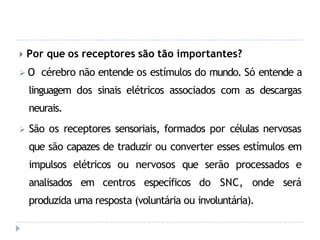 🞂 Por que os receptores são tão importantes?
 O cérebro não entende os estímulos do mundo. Só entende a
linguagem dos sinais elétricos associados com as descargas
neurais.
 São os receptores sensoriais, formados por células nervosas
que são capazes de traduzir ou converter esses estímulos em
impulsos elétricos ou nervosos que serão processados e
analisados em centros específicos do SNC, onde será
produzida uma resposta (voluntária ou involuntária).
 