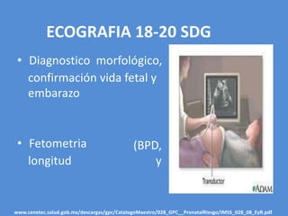 ECOGRAFIA 18-20 SDG
• Diagnostico morfológico,
confirmación vida fetal y
embarazo
• Fetometria (BPD,
longitud y
www.cenetec.salud.gob.mx/descargas/gpc/CatalogoMaestro/028_GPC__PrenatalRiesgo/IMSS_028_08_EyR.pdf
 