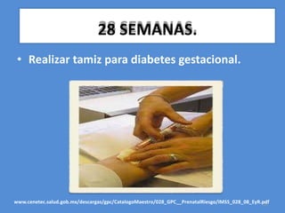 28 SEMANAS.
• Realizar tamiz para diabetes gestacional.
20
www.cenetec.salud.gob.mx/descargas/gpc/CatalogoMaestro/028_GPC__PrenatalRiesgo/IMSS_028_08_EyR.pdf
 