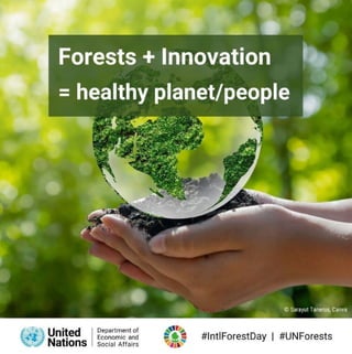 Healthy forests + healthy planet + people.