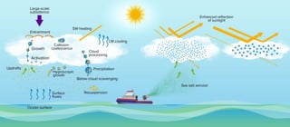 Scientists outline the research needed to evaluate marine cloud brightening as a potential strategy to reduce climate warming.
