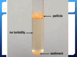 Body fluids.pdf