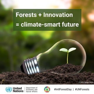 Forests + Innovation = Climate-smart future.