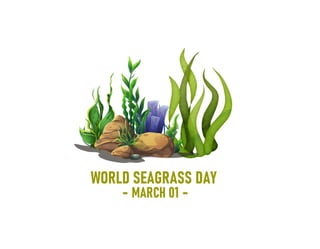 March 1st is World Seagrass Day. Let's restore seagrasses!