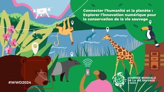 Connecter l’humanité et la planète : explorer l’innovation numérique pour la conservation de la vie sauvage - Journée mondiale de la vie sauvage 2024