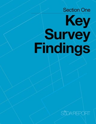 Section One

     Key
  Survey
Findings
 