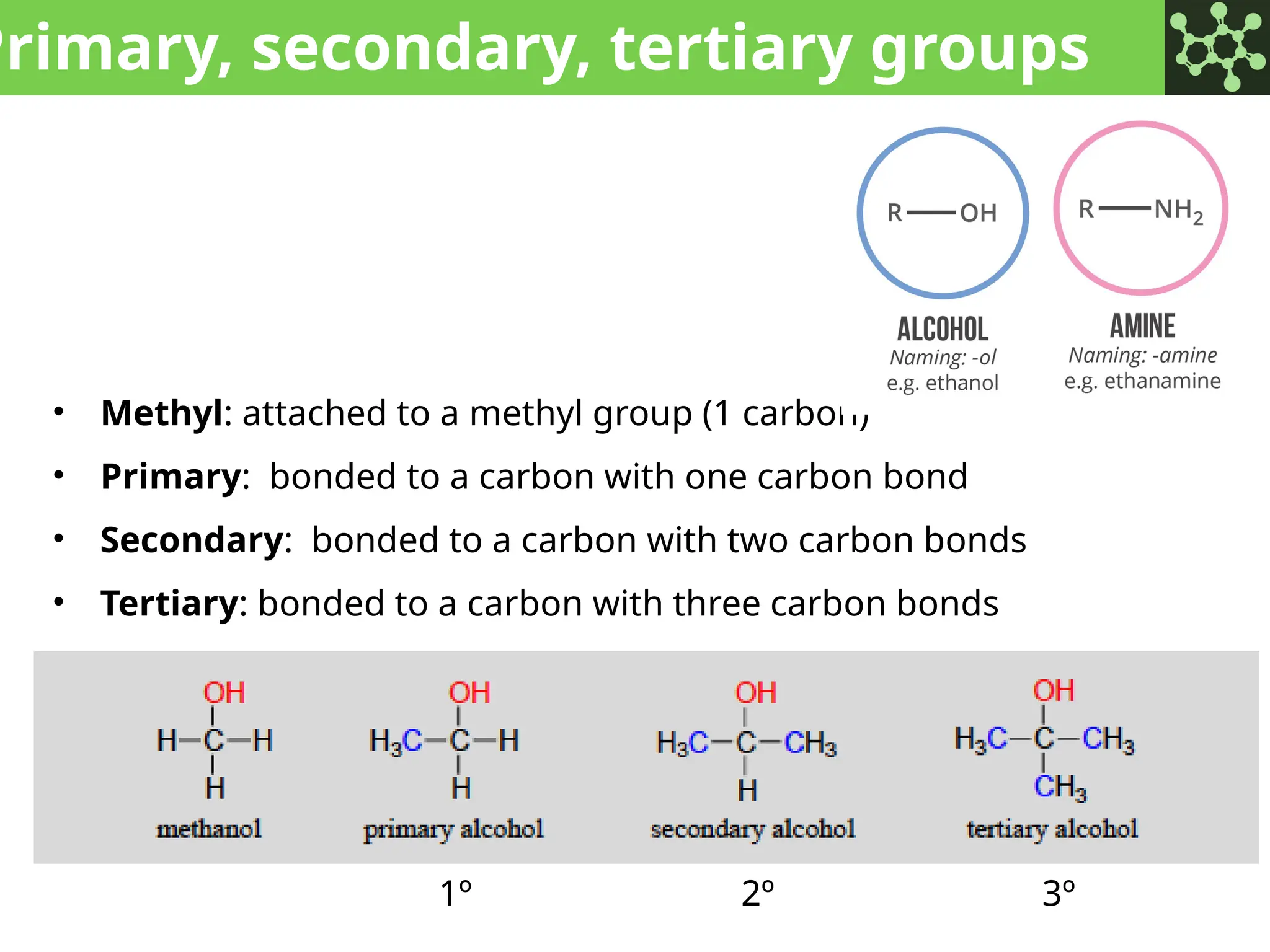 Primary, secondary, tertiary groups
• Methyl: attached to a methyl group (1 carbon)
• Primary: bonded to a carbon with one carbon bond
• Secondary: bonded to a carbon with two carbon bonds
• Tertiary: bonded to a carbon with three carbon bonds
1º 2º 3º
 