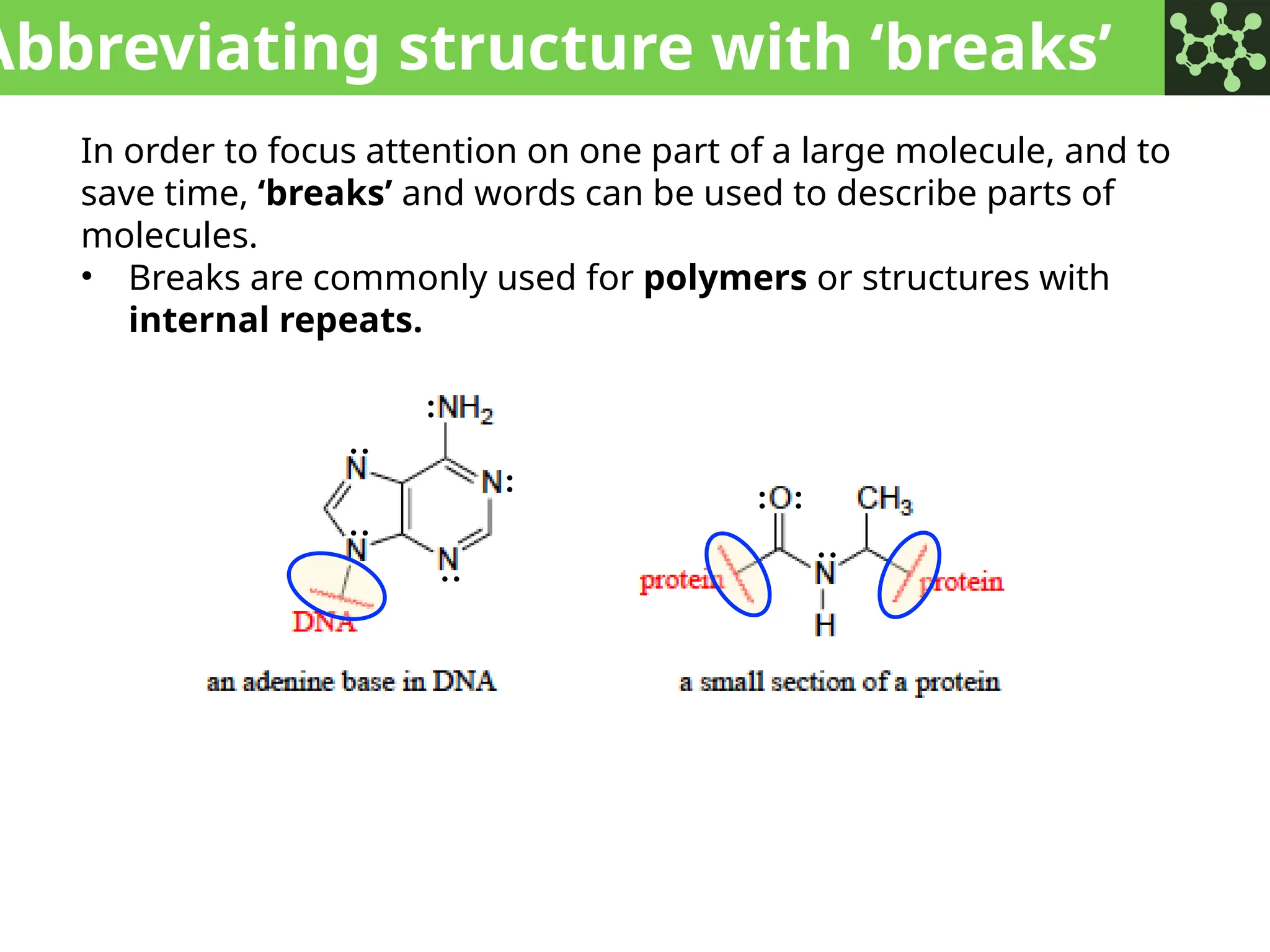 Abbreviating structure with ‘breaks’
In order to focus attention on one part of a large molecule, and to
save time, ‘breaks’ and words can be used to describe parts of
molecules.
• Breaks are commonly used for polymers or structures with
internal repeats.
:
:
: :
:
:
:
:
 